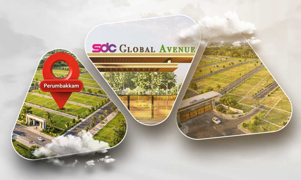 SDC Real Estates team