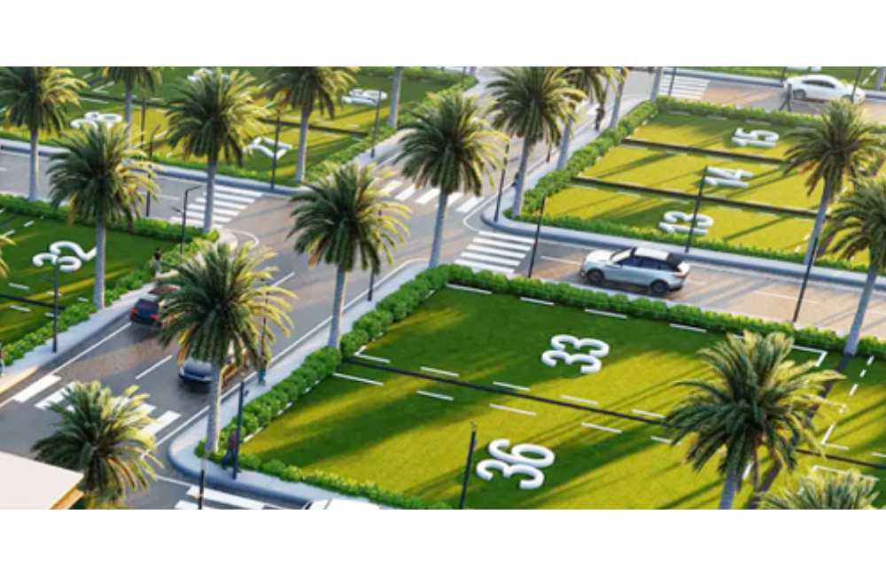 Small investment plot