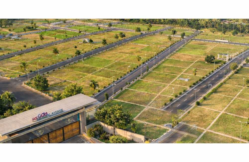 Standard family plot